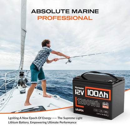 Humsienk LiFePO4 Leisure Battery 12V 100Ah, Campervan RV