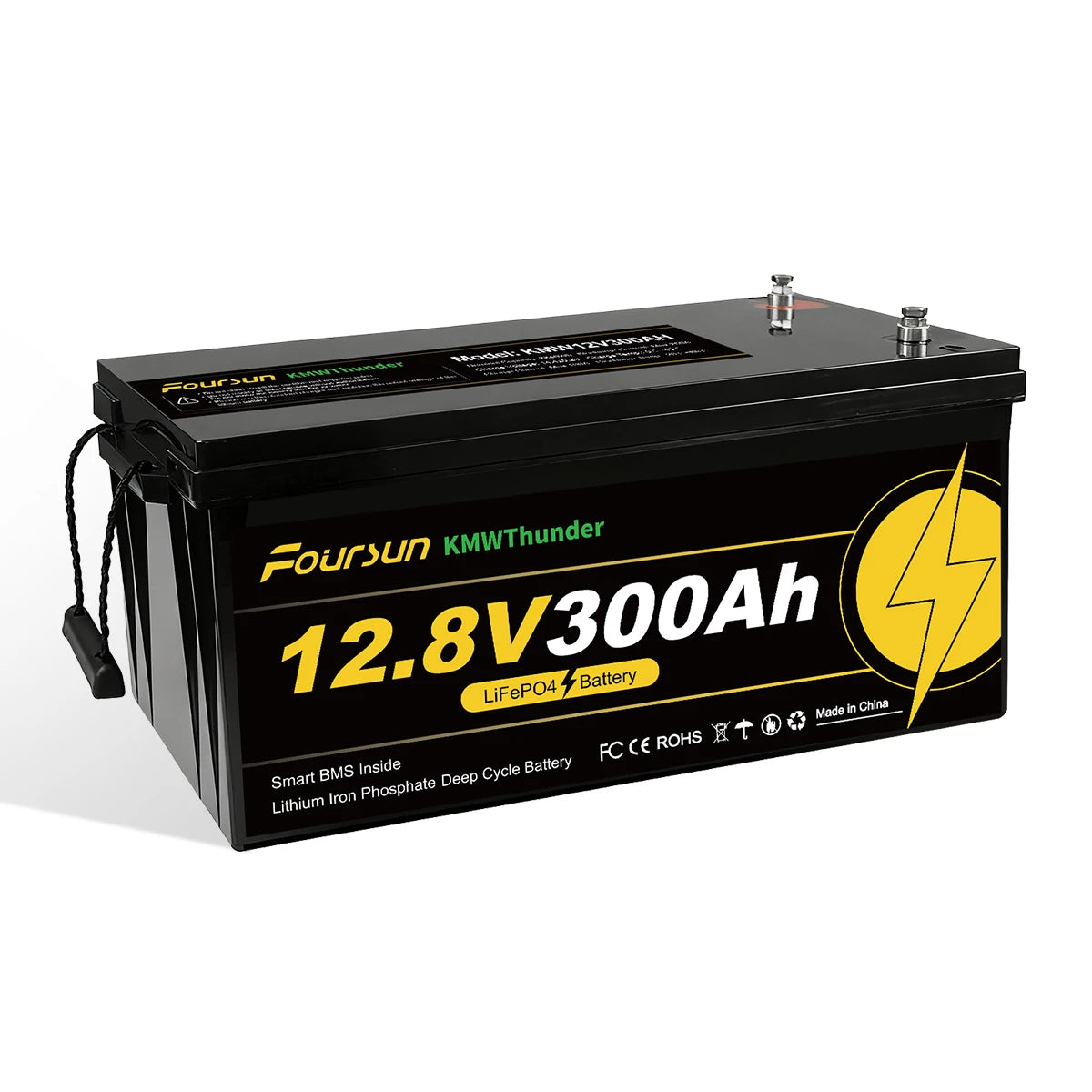 Foursun 12V 100Ah LiFePO4 Leisure Battery 1280Wh, IP67